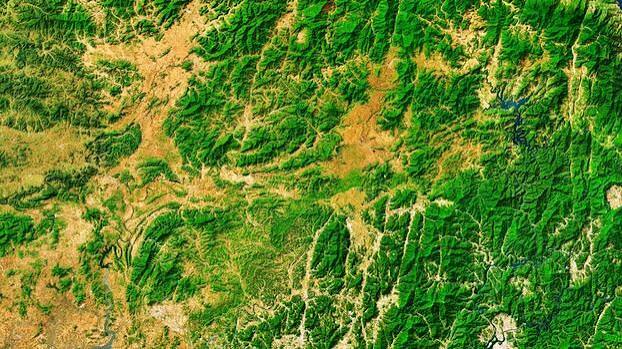 Satellite Farmland Monitoring